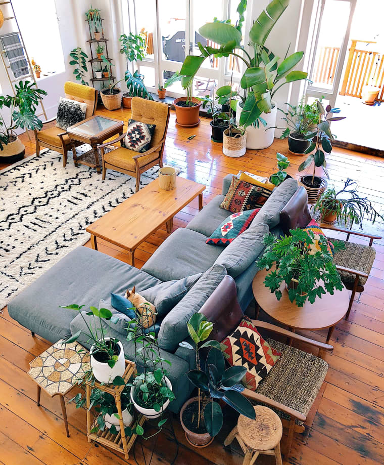 Urban jungle: como aplicar esse estilo de decoração